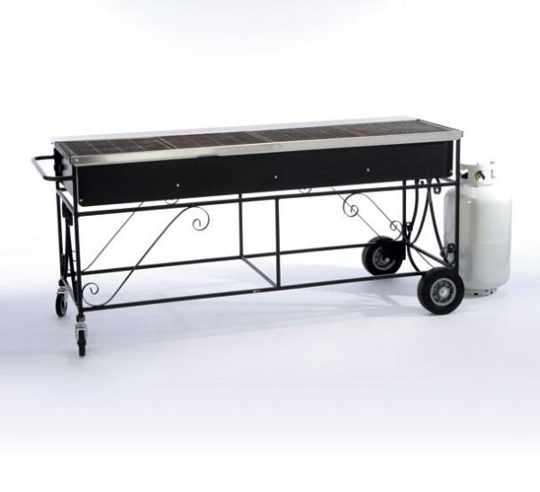 Propane Grill