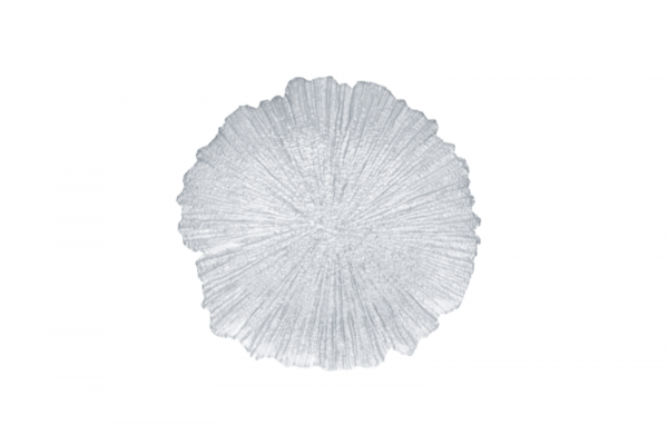 Murano Silver, Charger