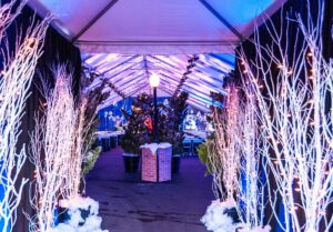 Show holiday party entrance