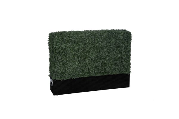 Artificial Hedge, Short