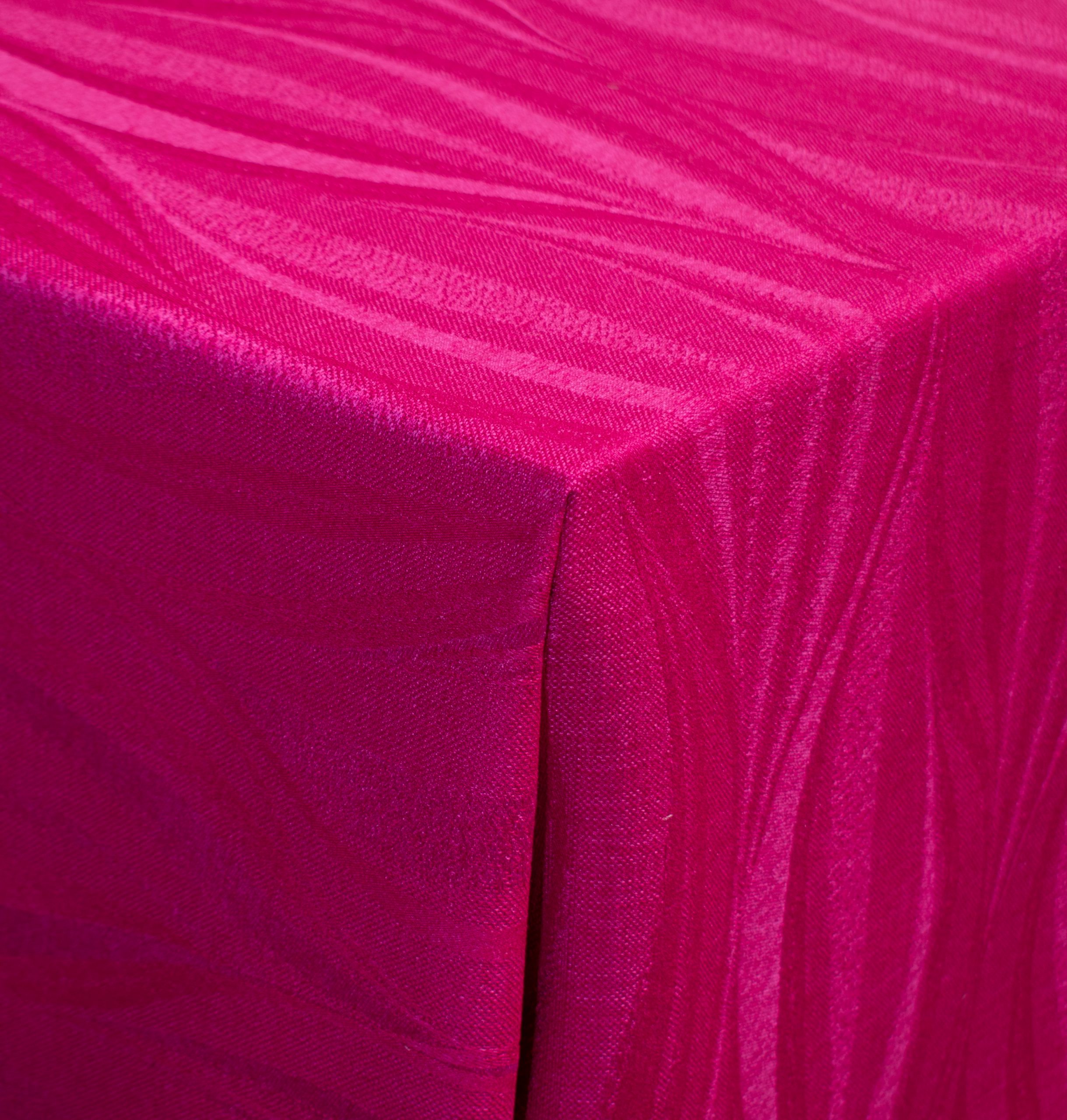 Neptune Fuchsia