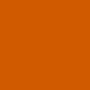 Orange Linens & Napkins
