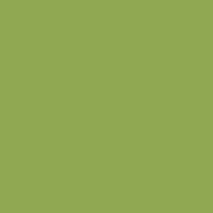 Lime Linens & Napkins