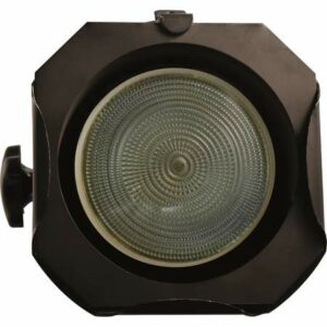 Par 38 Light
